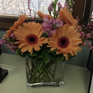 Meet your Posher, Marian